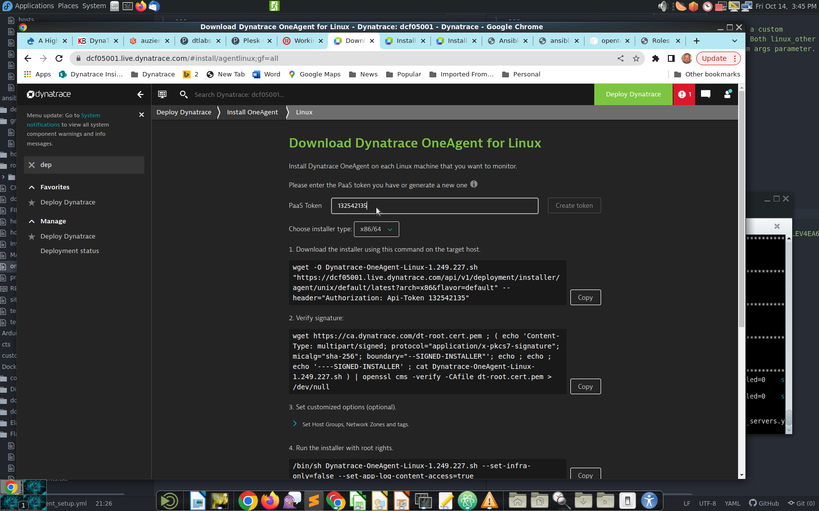 PaaS token screen